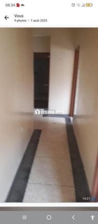 appartement-a-louer-big-5