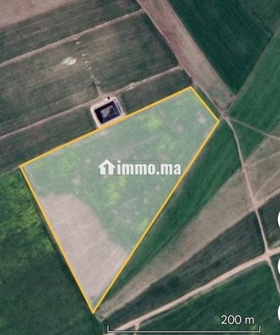 Terrain agricole titre 3 hictar - Vente Immobilier - Berrechid - photo 1