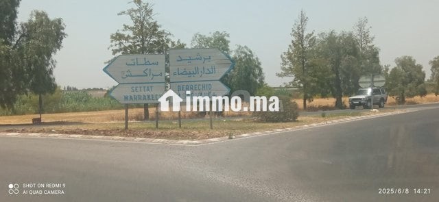 Terrain agricole titre 3 hictar - Vente Immobilier - Berrechid - photo 3