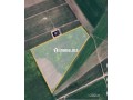 terrain-agricole-titre-3-hictar-small-0
