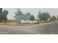 terrain-agricole-titre-3-hictar-small-2