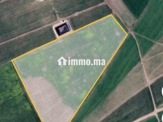terrain-agricole-titre-3-hictar