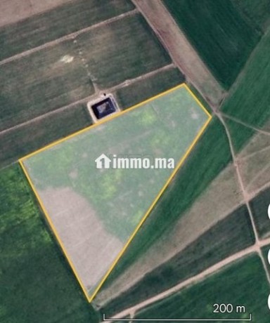 terrain-agricole-titre-3-hictar-big-0