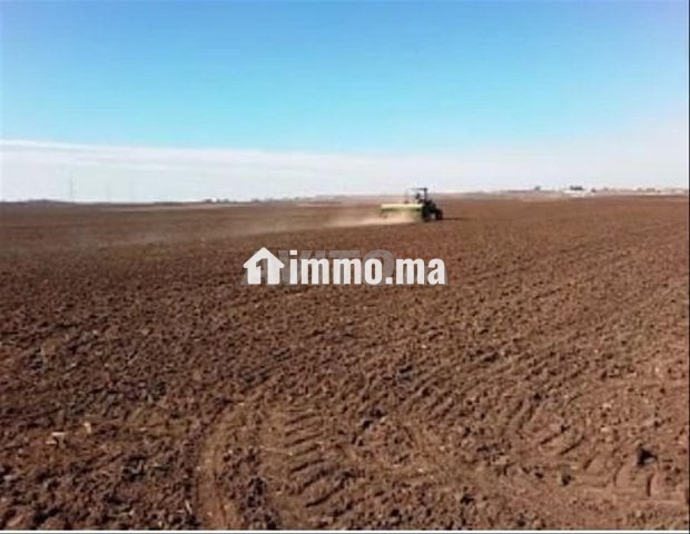 كراء أرض فلاحية - Location Terrain Agricole - Location Immobilier - Berrechid - photo 1
