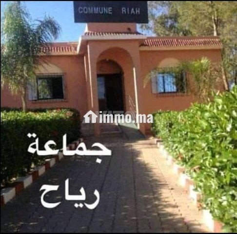 كراء أرض فلاحية - Location Terrain Agricole - Location Immobilier - Berrechid - photo 2