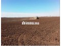 kraaa-ard-flahy-location-terrain-agricole-small-0