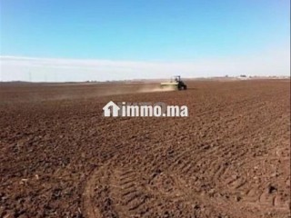 kraaa-ard-flahy-location-terrain-agricole