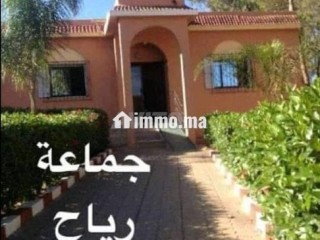 كراء أرض فلاحية - Location Terrain Agricole - Terrain à louer - Berrechid