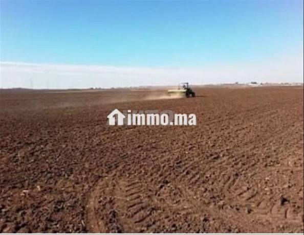 kraaa-ard-flahy-location-terrain-agricole-big-0