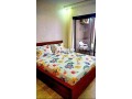 shkk-krb-lbhr-mol-dar-small-0