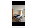 shkk-krb-lbhr-mol-dar-small-6