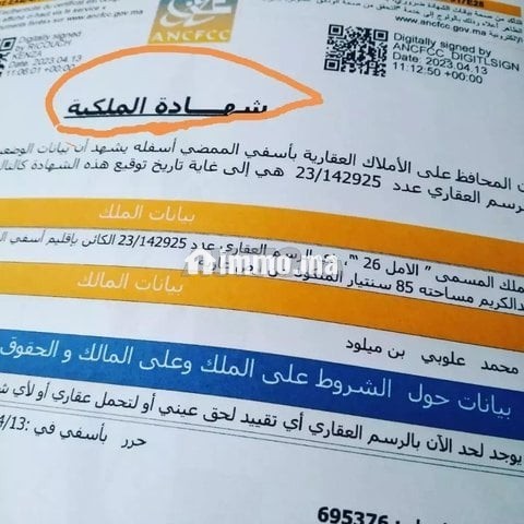 البقعة محفظة للبيع بالتجزئة الامل - Vente Immobilier - Safi - photo 3