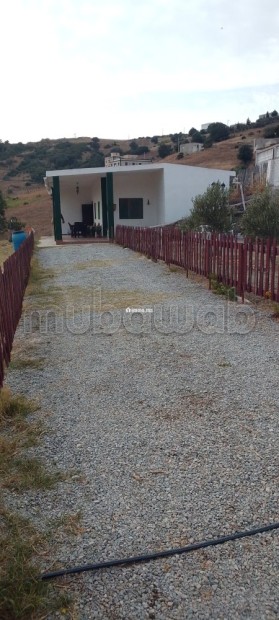 Terrain 1000 M2 inclus maison d'été/garage/jardin - Vente Immobilier - Autre - photo 2
