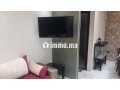 appartement-meuble-a-louer-small-7
