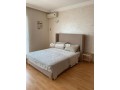 grand-appt-avec-terrasse-a-cote-lycee-des-cartes-small-2