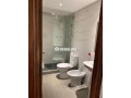 grand-appt-avec-terrasse-a-cote-lycee-des-cartes-small-8