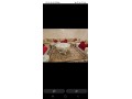 location-saisonniere-villa-haut-standing-a-ourika-superficie-10000-m2-parking-et-jardin-small-0
