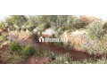 location-saisonniere-villa-haut-standing-a-ourika-superficie-10000-m2-parking-et-jardin-small-6