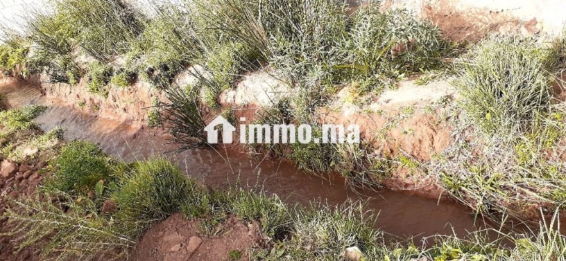 location-saisonniere-villa-haut-standing-a-ourika-superficie-10000-m2-parking-et-jardin-big-6