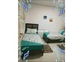 shk-anyk-nthyf-o-mshmsh-balbhr-small-2