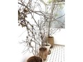 top-studio-gauthier-small-11