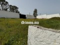 vente-terrain-a-larache-surface-de-2000-m2-small-12