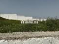 vente-terrain-a-larache-surface-de-2000-m2-small-13