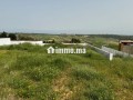vente-terrain-a-larache-surface-de-2000-m2-small-16