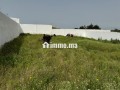 vente-terrain-a-larache-surface-de-2000-m2-small-2