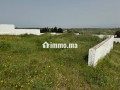 vente-terrain-a-larache-surface-de-2000-m2-small-5