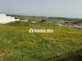 vente-terrain-a-larache-surface-de-2000-m2-small-6