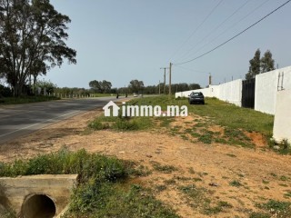 vente-terrain-a-larache-surface-de-2000-m2