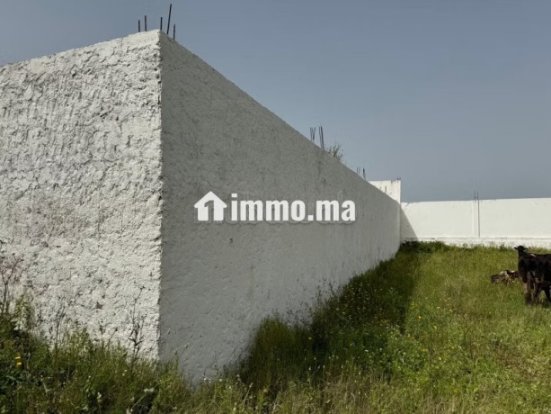 vente-terrain-a-larache-surface-de-2000-m2-big-11