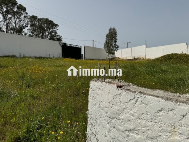 vente-terrain-a-larache-surface-de-2000-m2-big-12