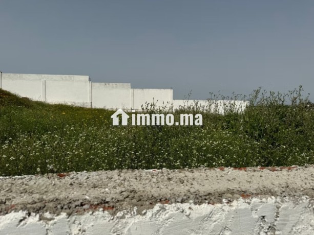 vente-terrain-a-larache-surface-de-2000-m2-big-13