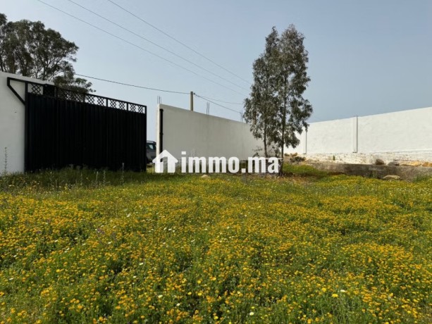 vente-terrain-a-larache-surface-de-2000-m2-big-14