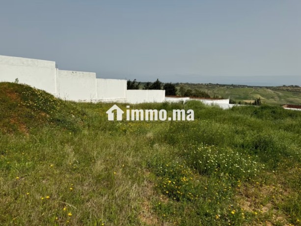 vente-terrain-a-larache-surface-de-2000-m2-big-15