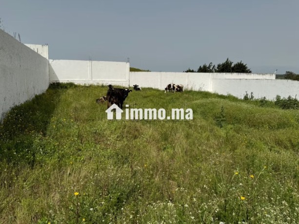 vente-terrain-a-larache-surface-de-2000-m2-big-2