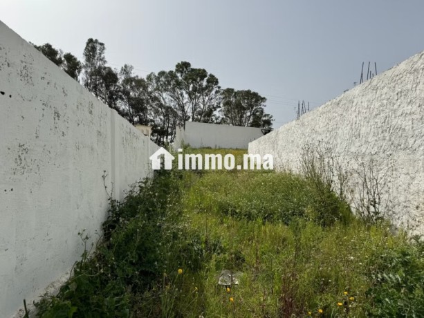vente-terrain-a-larache-surface-de-2000-m2-big-3