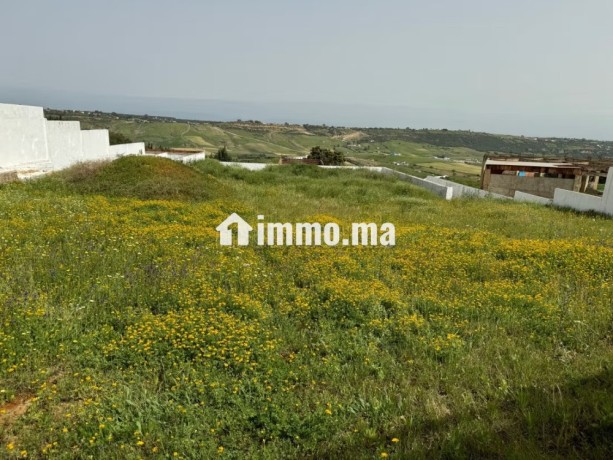vente-terrain-a-larache-surface-de-2000-m2-big-6