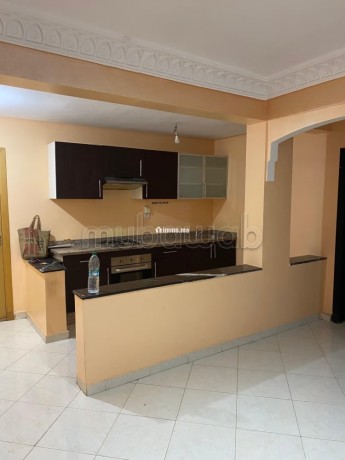 a-louer-appartement-2-chambres-ain-mezouar-marrak-big-1