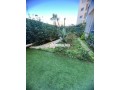 shk-llkraaa-alyomy-alrbat-hy-alryad-brystygya-small-3