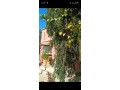 tres-belle-maison-en-vente-a-ghmate-surface-de-140-m2-cheminee-et-climatisation-small-4