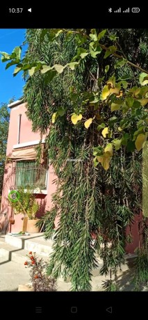 tres-belle-maison-en-vente-a-ghmate-surface-de-140-m2-cheminee-et-climatisation-big-4
