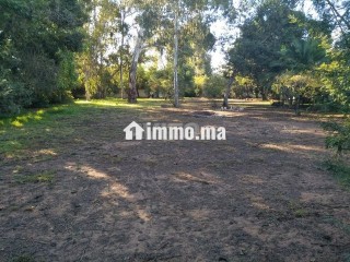 a-vendre-terrain-zone-villa-rabat-souissi
