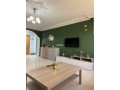 amazing-appartement-au-centre-ville-en-face-hilton-small-1