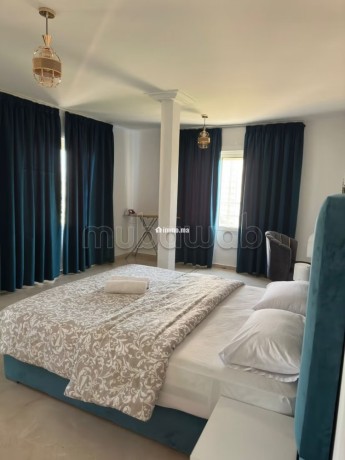 amazing-appartement-au-centre-ville-en-face-hilton-big-9