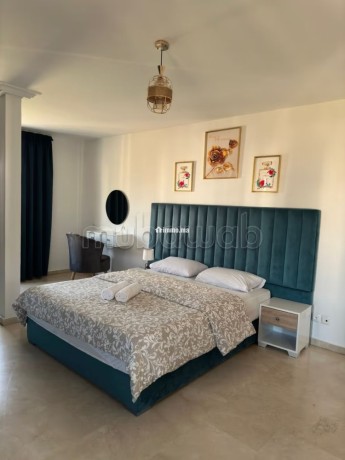 amazing-appartement-au-centre-ville-en-face-hilton-big-8