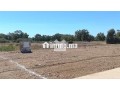 127619-vente-terrain-a-bouznika-bouznika-bay-de-75-small-6