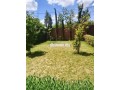 fyla-llbyaa-almsah-500mtr-tryk-aoryk-small-2
